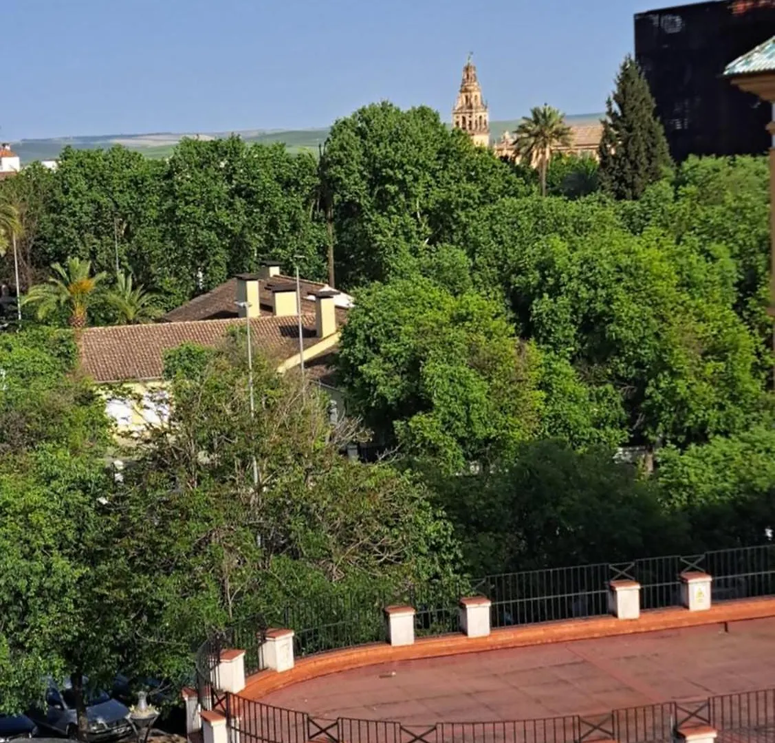 Apartamento Ventanas A La Historia Córdoba
